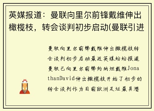 英媒报道：曼联向里尔前锋戴维伸出橄榄枝，转会谈判初步启动(曼联引进前锋)