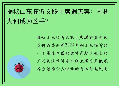 揭秘山东临沂文联主席遇害案：司机为何成为凶手？